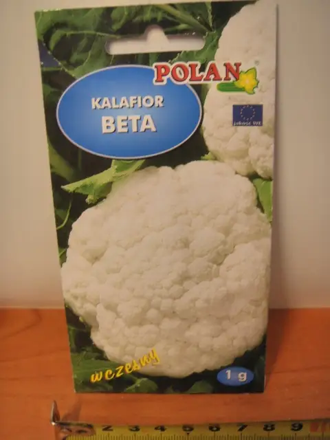 nasiona 1g KALAFIOR BETA PN3561