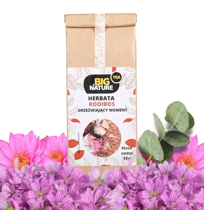 Herbata ROOIBOS ORZEŹWIAJĄCY MOMENT 50g - BIG NATURE