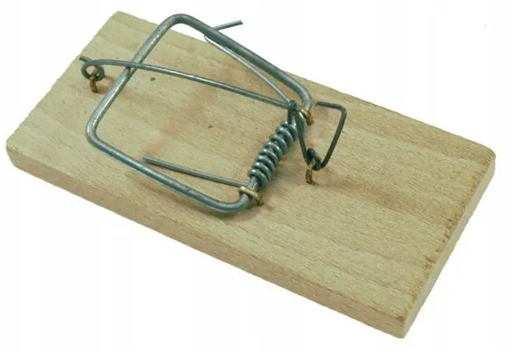 pułapka na szczury 5szt. drewno 17x7cm | 920455