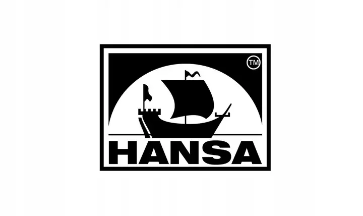 Środek do czyszczenia komina pieca smoły sadzy proszek koncentrat HANSA 1kg — 2