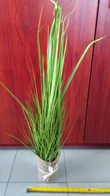 trawa w doniczce jutowej 90cm INF171