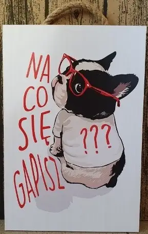 tabliczka/obraz do zawieszenia 20x30cm  NA CO SIĘ GAPISZ?