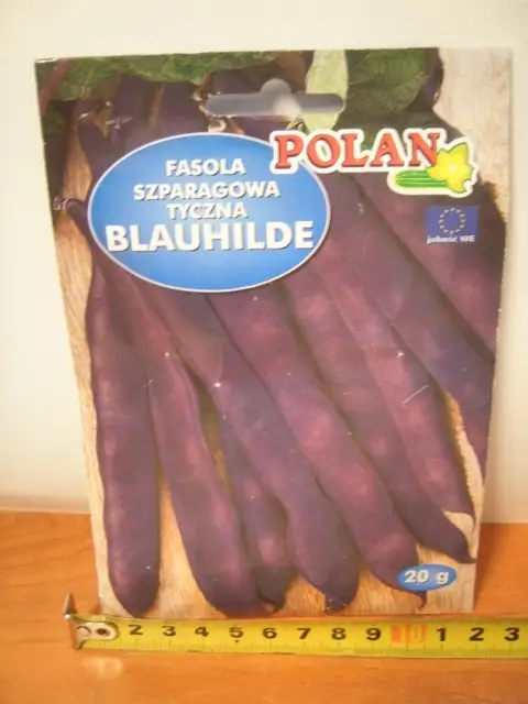 nasiona FASOLA SZPARAGOWA TYCZNA BLAUHILDE 3646