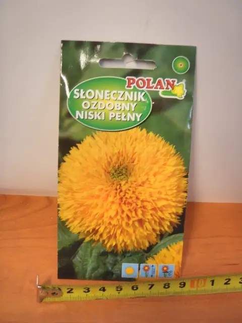 nasiona SŁONECZNIK OZDOBNY NISKI PEŁNY PN3991