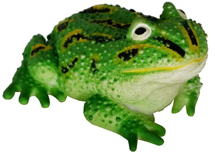 Żaba gumowa z groszkiem 2-rodzaje 11cm