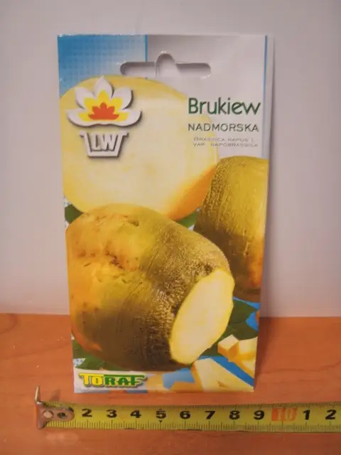 nasiona 10g BRUKIEW NADMORSKA TF1265