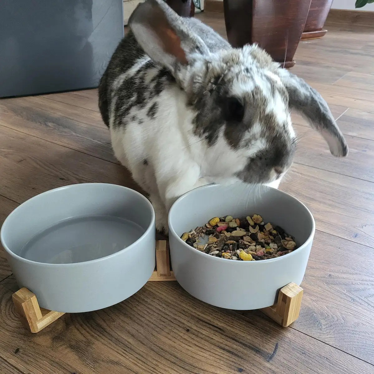 Ceramiczne miski dla psa kota na stojaku - na karmę i wodę — 4