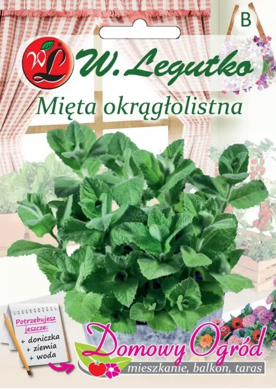 Nasiona Mięta okrągłolistna, 0,1g