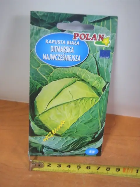 nasiona KAPUSTA DITMARSKA 2g PN4430