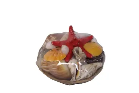 muszla- kosz 10 cm