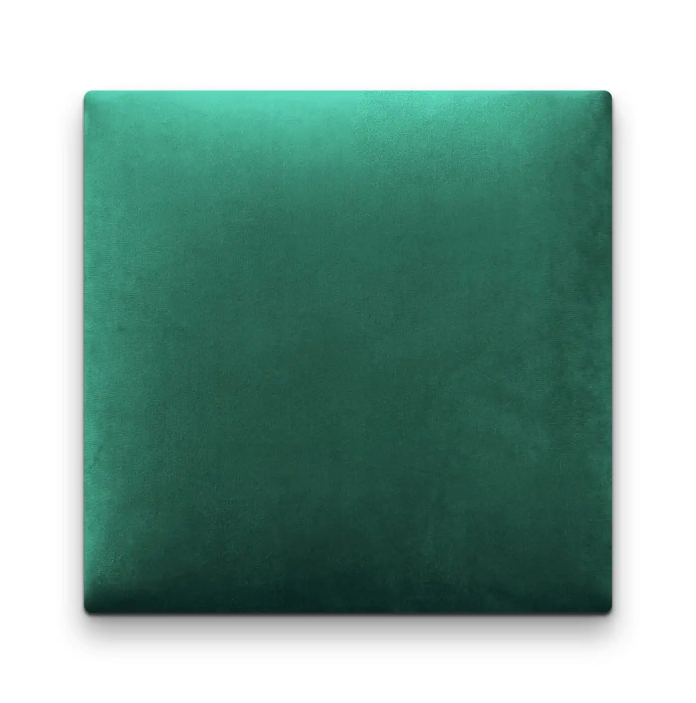 50x50