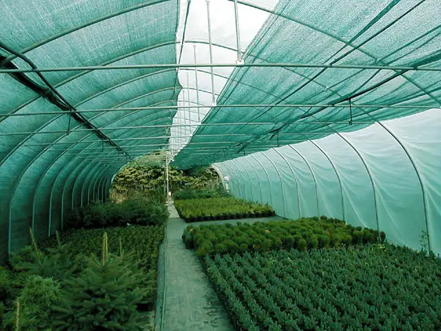 Siatka cieniująca 1,5x10 m 70 % ZIELONA — 4