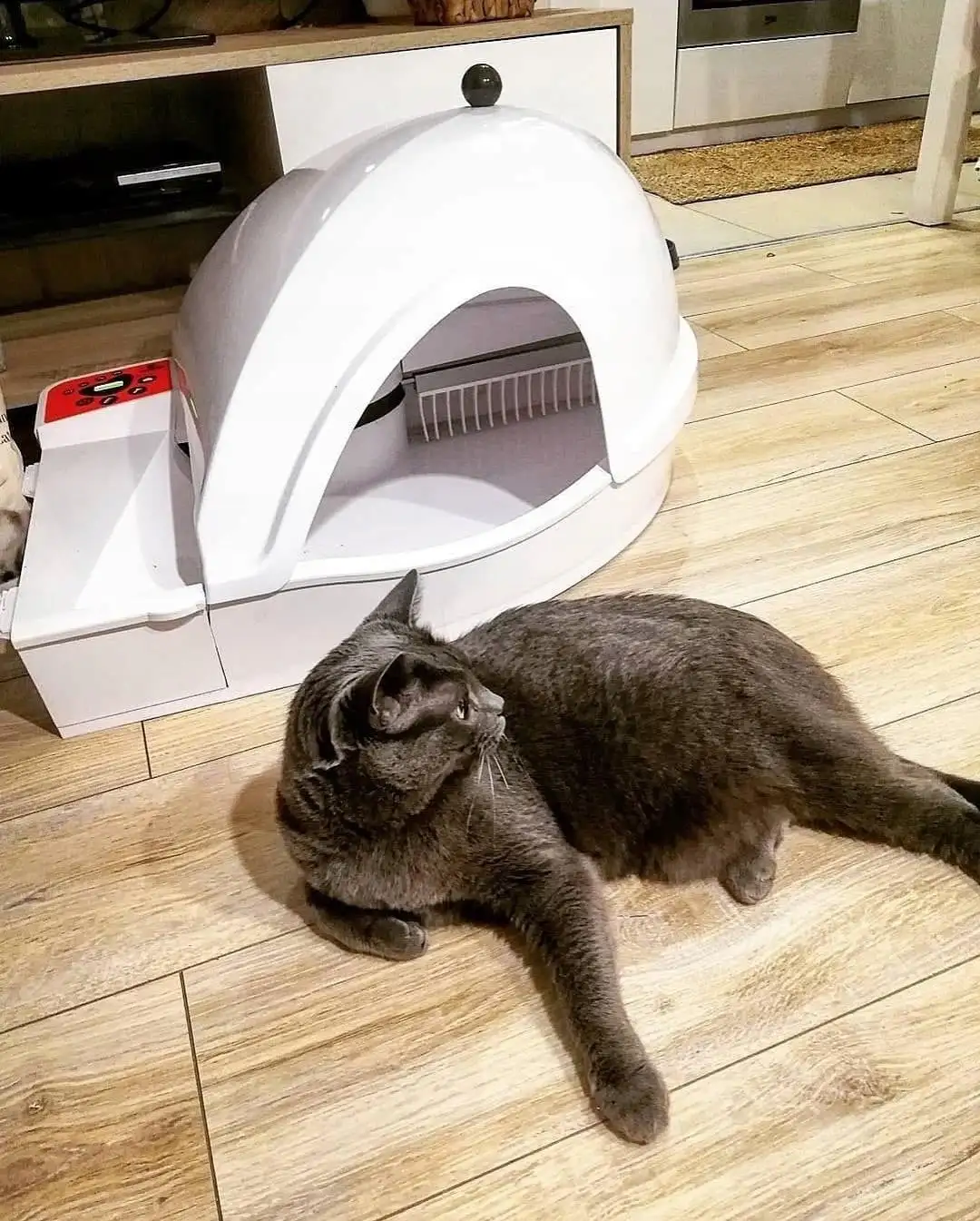 Inteligentna Samoczyszcząca Kuweta dla Kota Smart Kitty — 8
