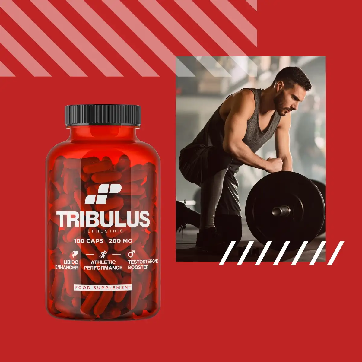 TRIBULUS TESTOSTERON TERRESTRIS BUZDYGANEK TESTO LIBIDO 100 MUSCLE POWER — 4