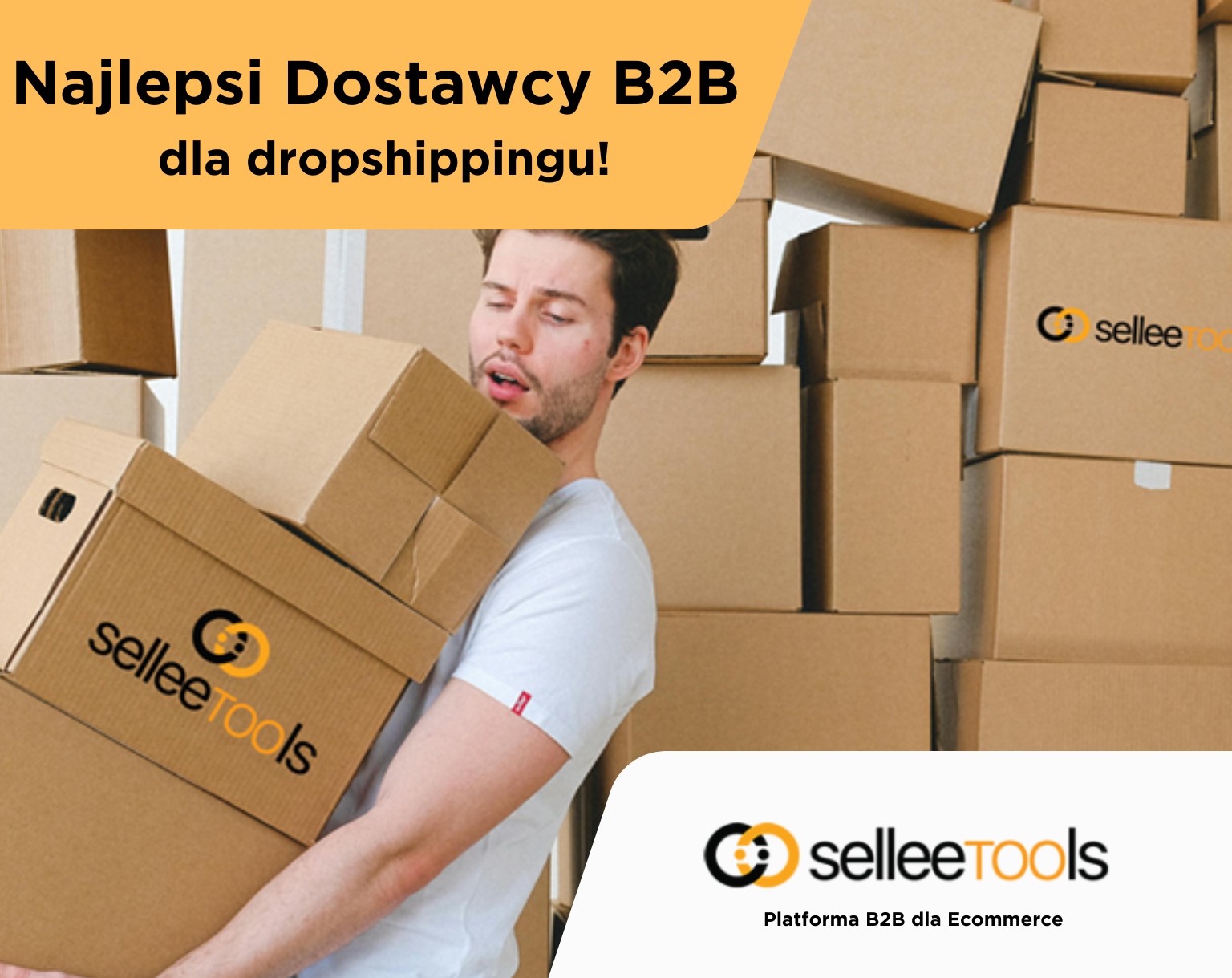 Jak znaleźć najlepszego dostawcę B2B do dropshippingu w Polsce?