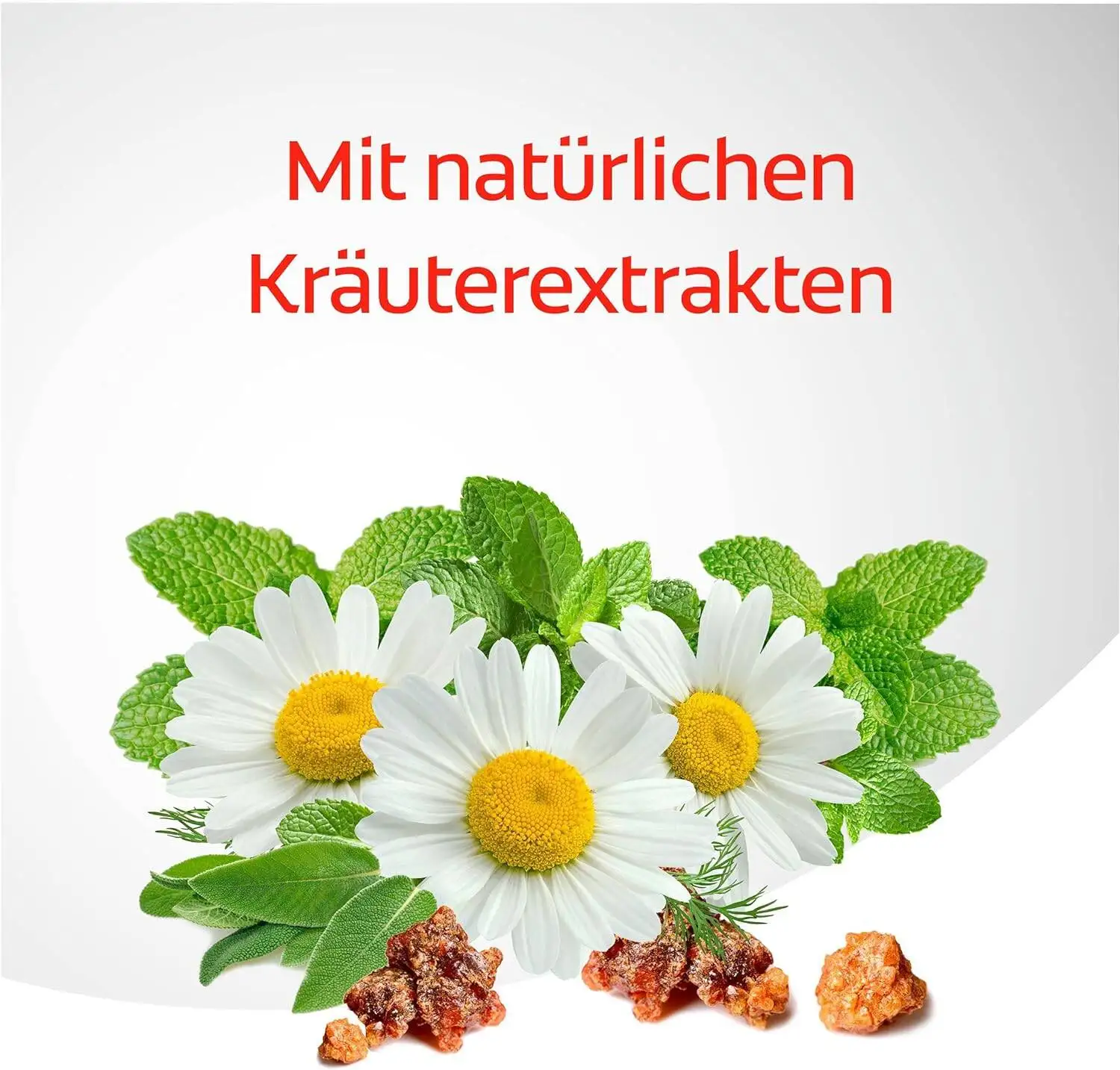 Colgate Dentagard Ziołowa Pasta do Zębów 75 ml — 2