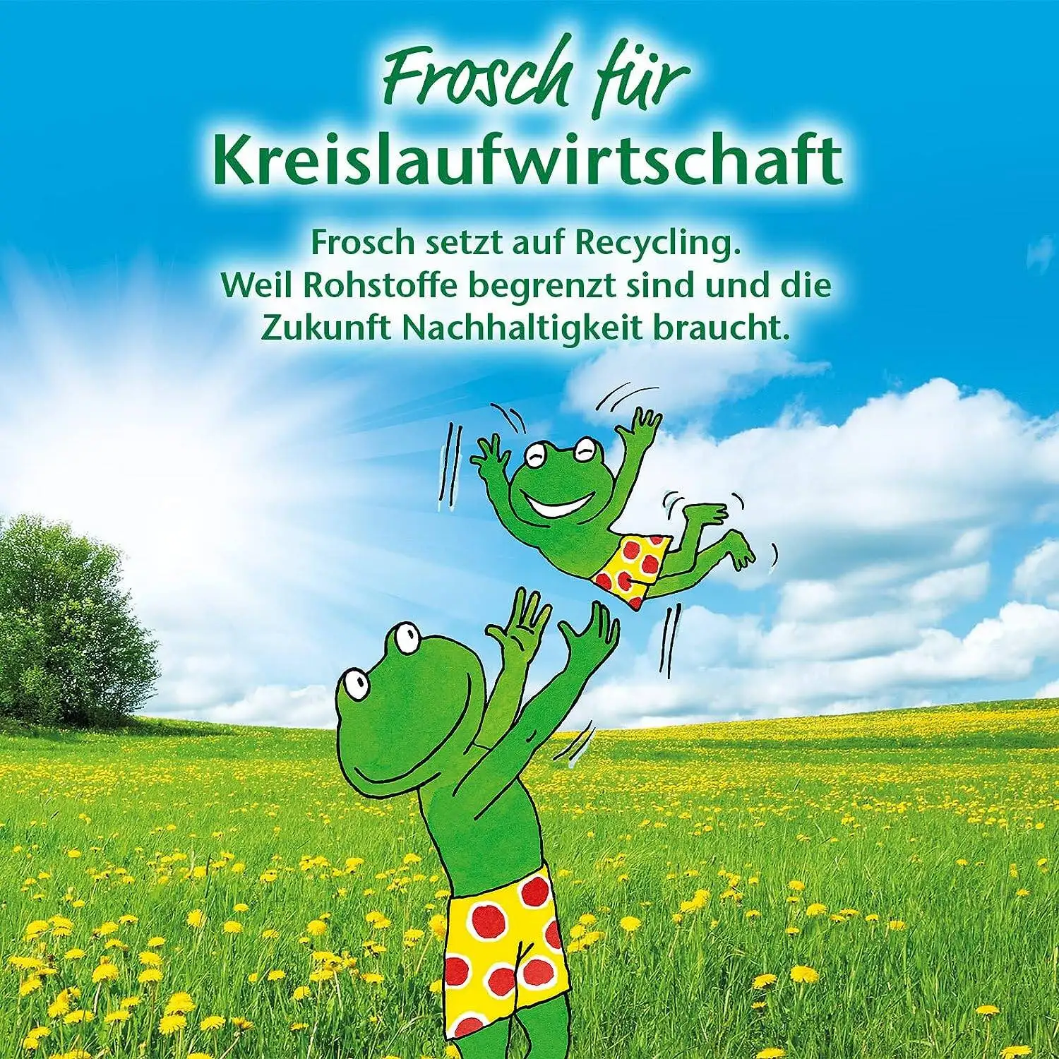 Frosch WC-Reiniger Zitrone Żel WC 750 ml — 2