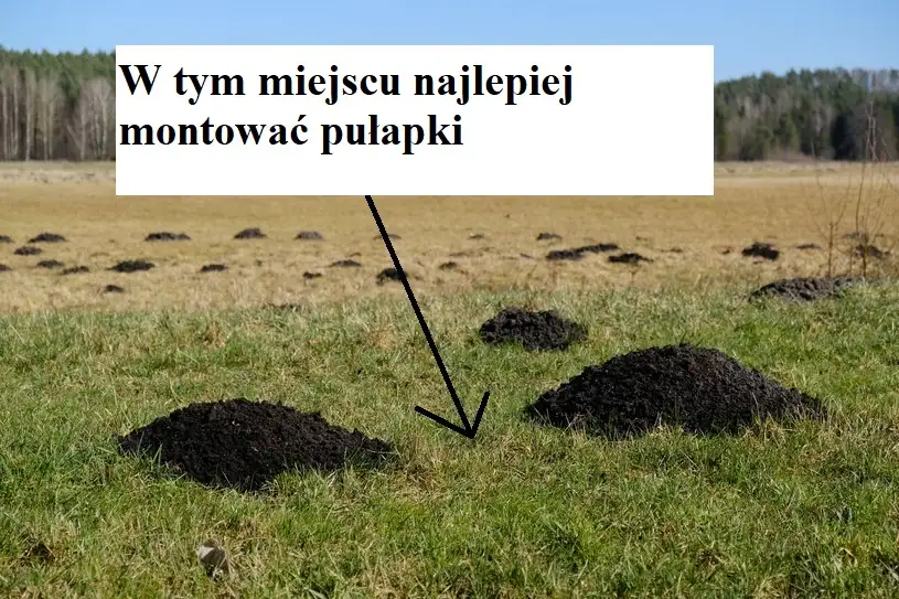 Pułapka na krety z sygnalizatorem - zestaw 5 sztuk — 7