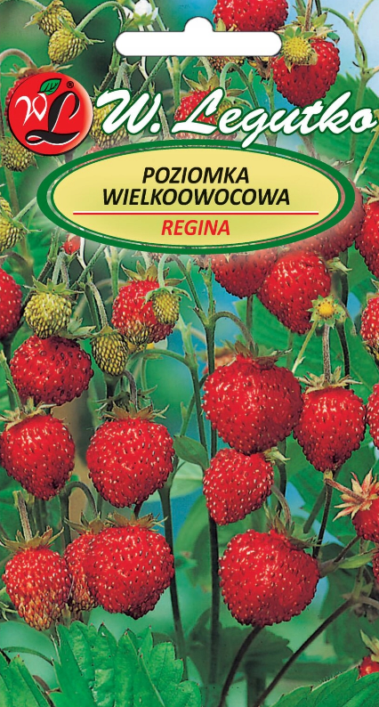 95c7563490c9ab750eea81ac03f01bb0.png